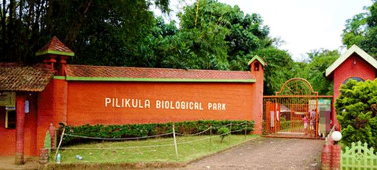 pilikula