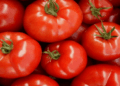 ಟೊಮೊಟೊ ದರ ಏಕಾಏಕಿ ಇಳಿಕೆ
