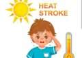 ವಿಶೇಷ ಲೇಖನ “ಹೀಟ್ ಸ್ಟ್ರೋಕ್” ಡಾ.ಮುರಲೀ ಮೋಹನ ಚೂಂತಾರು