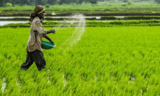 ಇನ್ಮುಂದೆ ರಸಗೊಬ್ಬರ ಬೇಕಿದ್ರೆ FID ಕಡ್ಡಾಯ