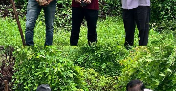 ಹಸಿರಿಲ್ಲದೆ ಉಸಿರಿಲ್ಲ- ಡಾ ಚೂಂತಾರು