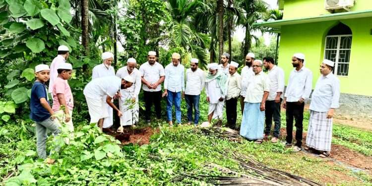 ಕಡಬ ಪಟ್ಟಣ ಪಂಚಾಯತ್ ವ್ಯಾಪ್ತಿಯ ಪನ್ಯ ಬದ್ರಿಯಾ ಜುಮಾ ಮಸೀದಿಯಲ್ಲಿ ವಿಶ್ವ ಪರಿಸರ ದಿನಾಚರಣೆ