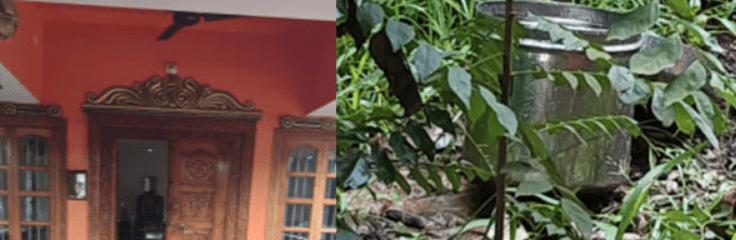 ಮಂಜೇಶ್ವರದ ವೀರ ಮಾರುತಿ ವ್ಯಾಯಾಮ ಶಾಲೆಯಲ್ಲಿ ಕಳ್ಳತನ: ತನಿಖೆ ಆರಂಭಿಸಿದ ಪೊಲೀಸರು