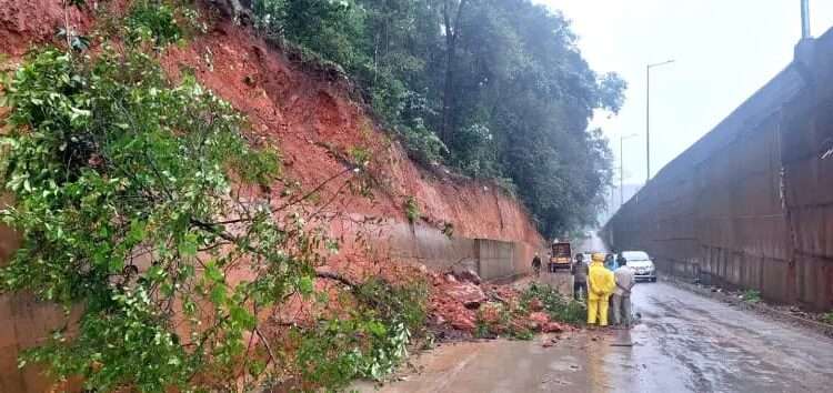 ಪೆರಿಯಶಾಂತಿ- ಗುಡ್ಡ ಕುಸಿತ  ರಸ್ತೆಗೆ ಮರ ಉರುಳಿಬಿದ್ದು ಕೆಲಕಾಲ ಸಂಚಾರ ಅಸ್ತವ್ಯಸ್ತ