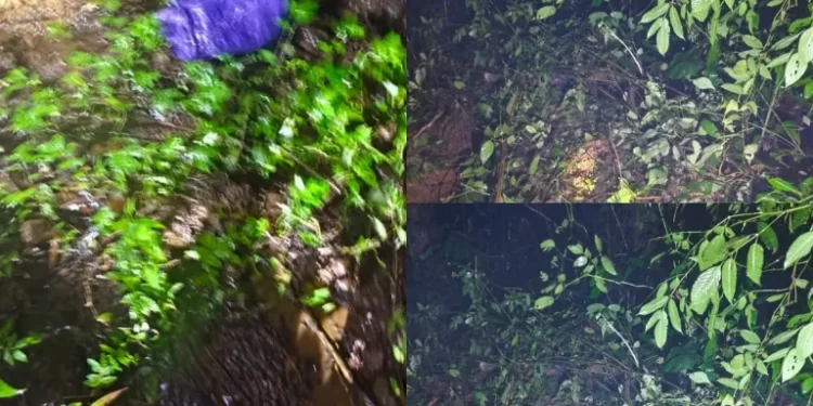 ರೆಖ್ಯ: ಕಾಡಾನೆ ದಾಳಿ- ಓರ್ವ ಮೃತ್ಯು