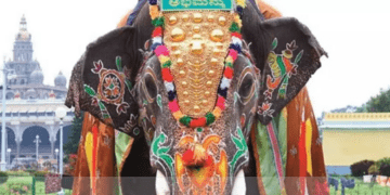 ಮೈಸೂರು ದಸರಾ: ‘ನಿಶಾನೆ ಆನೆ’ಯಾಗಿ ಅಭಿಮನ್ಯು ಕದನ ವಿರಾಮ!